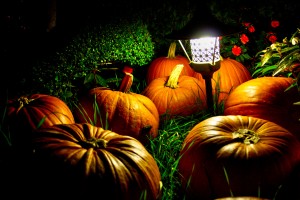 Make Your Home Safe for Trick-or-Treaters